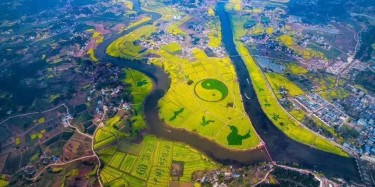 萬(wàn)眾期待，重慶潼南萬(wàn)畝油菜花海景區(qū)開(kāi)放，畢加帶你去看花節(jié)！