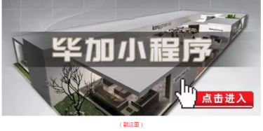 畢加邂逅小“情人”，那就再愛一次吧