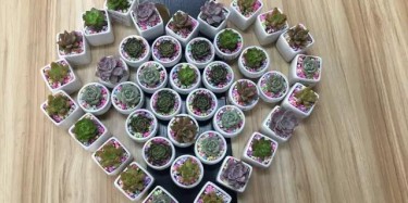 今天，你們是我的女神